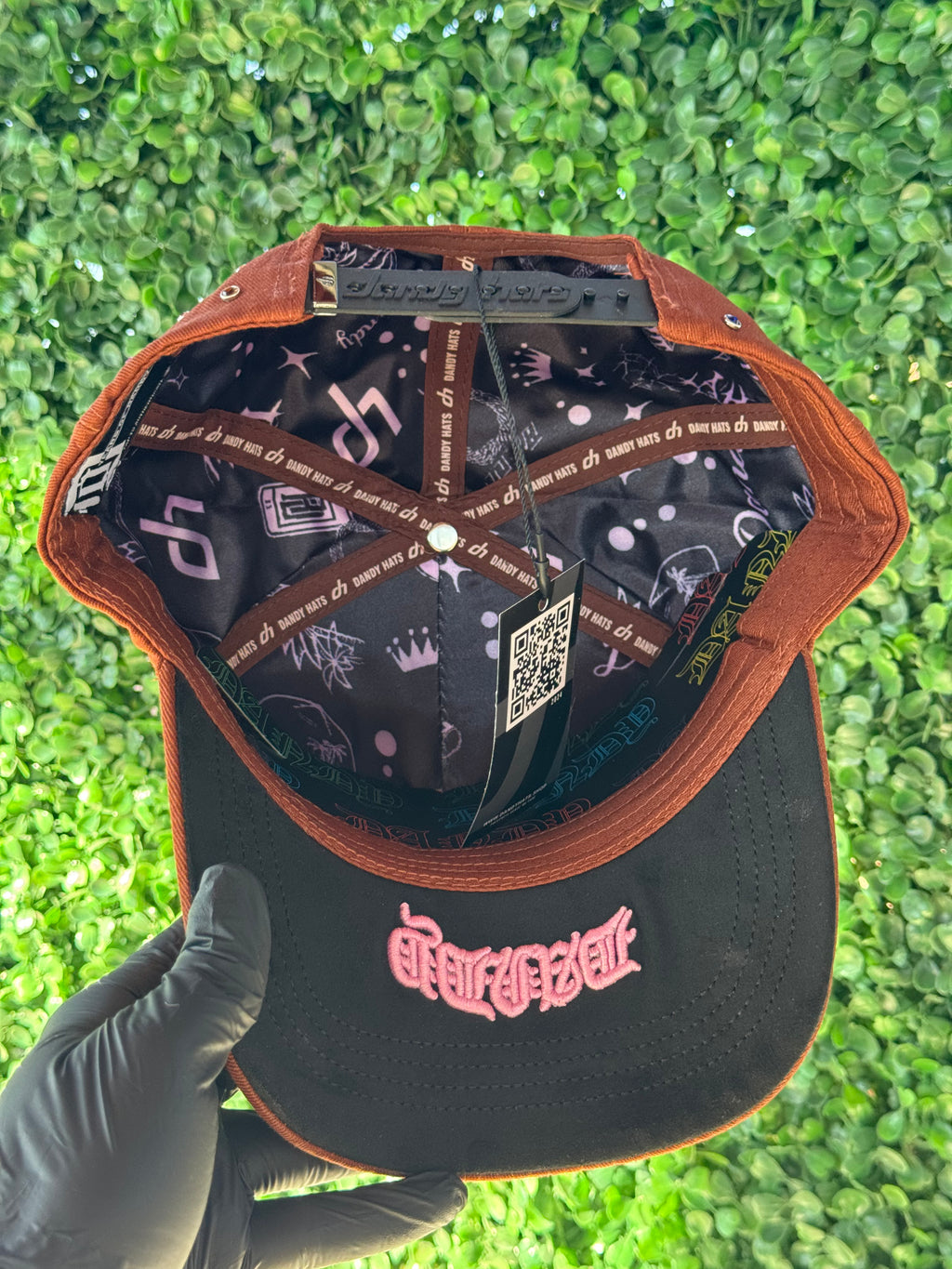 Dandy Aniversario Café 1.1